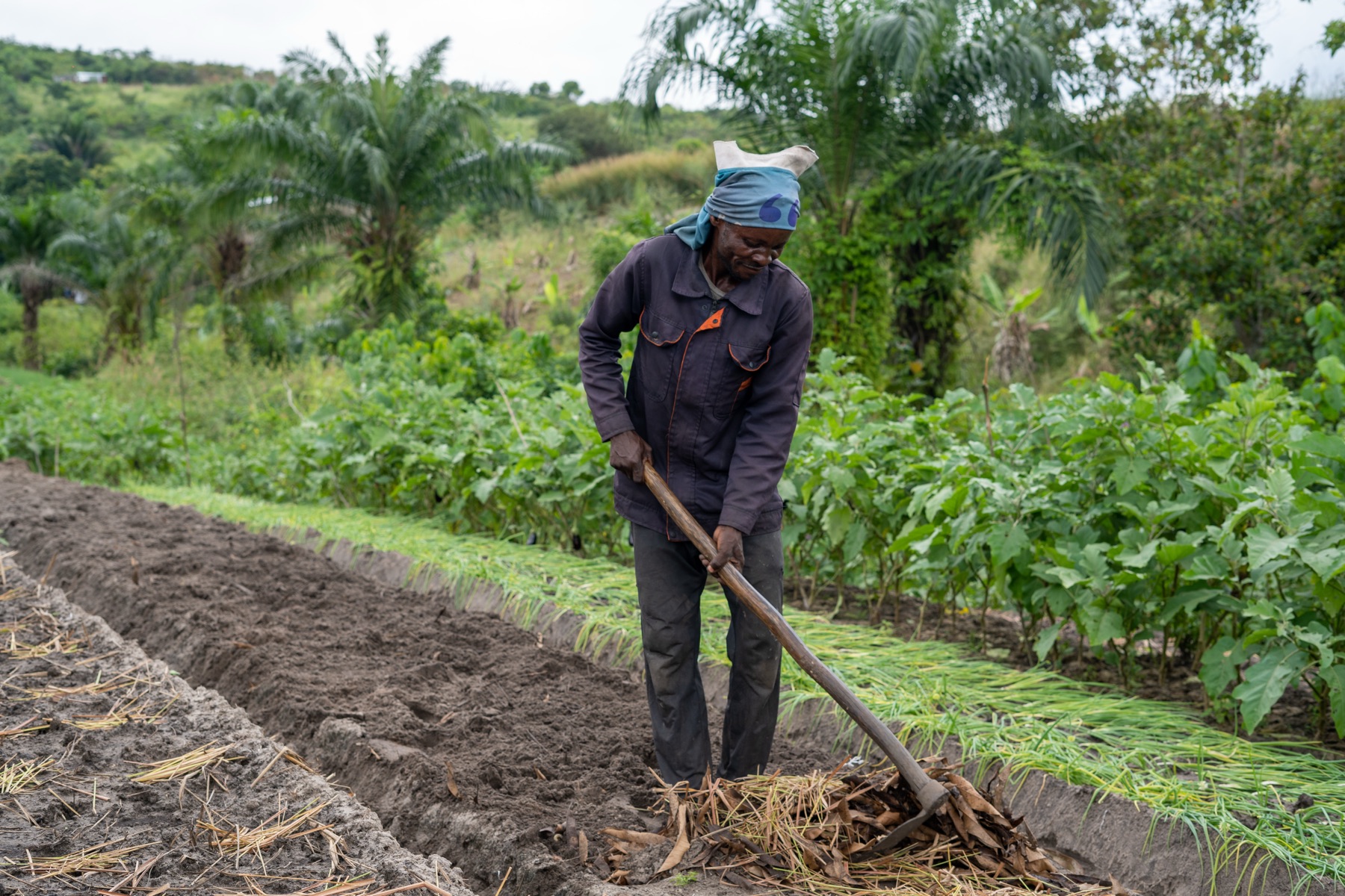 Reportage de terrain — programme de développement